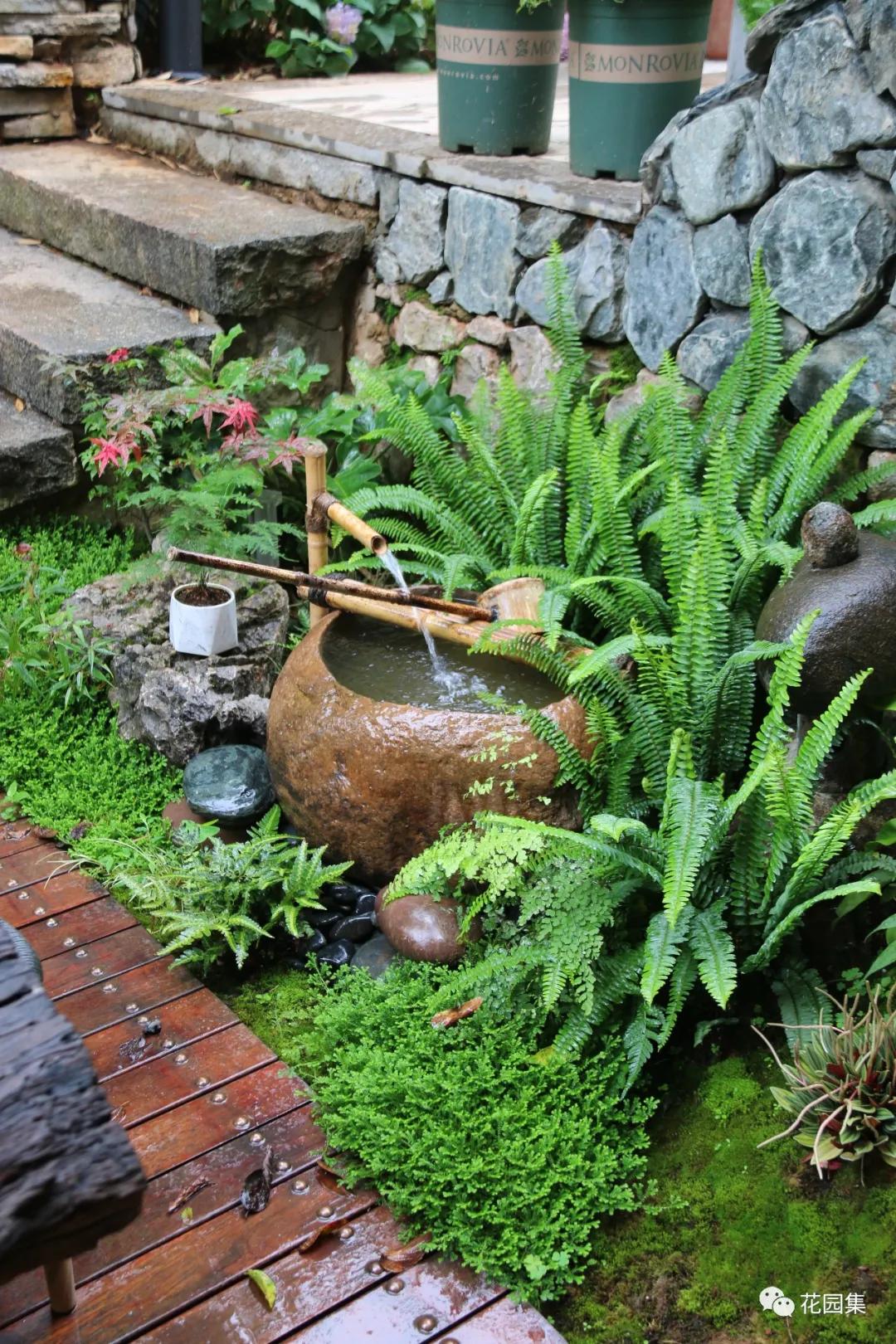 小花园最新改造,改造一个小花园真的太不容易了