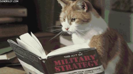 澳大利亚将会给2020年带来什么,澳大利亚最新利好