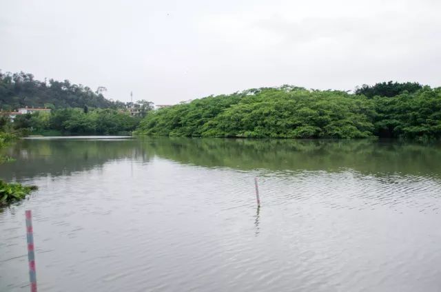 小鸟天堂真实现状,小鸟天堂后续怎样了