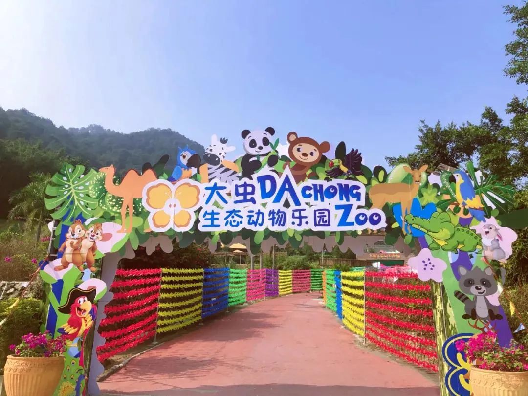 肇庆彩虹滑道在哪里,肇庆五天旅游攻略路线推荐