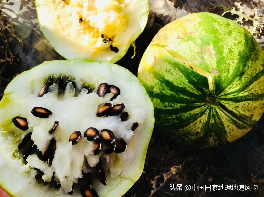 中国人什么时候开始嗑瓜子的,中国人什么年代嗑瓜子