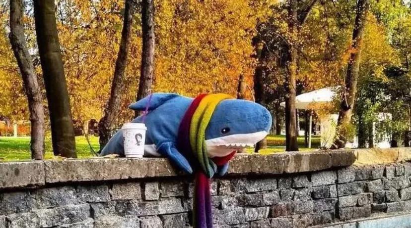 没房没车我不能给你带来幸福吗,没有家才喜欢逛宜家