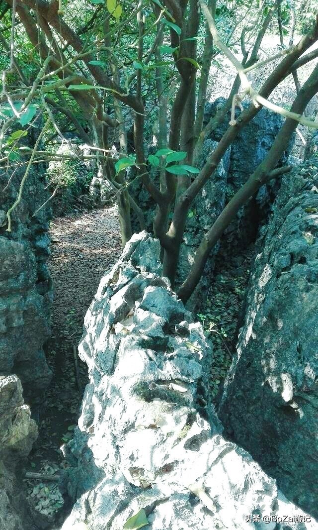 广西来宾旅游景点推荐,来宾象州旅游景点推荐