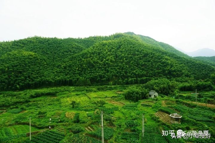 湖州旅游攻略自由行最佳线路,浙江湖州3天2晚自驾游攻略