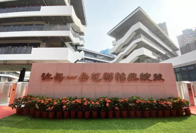 怡海第五小学最新消息,佛山市南海桂城怡海五小