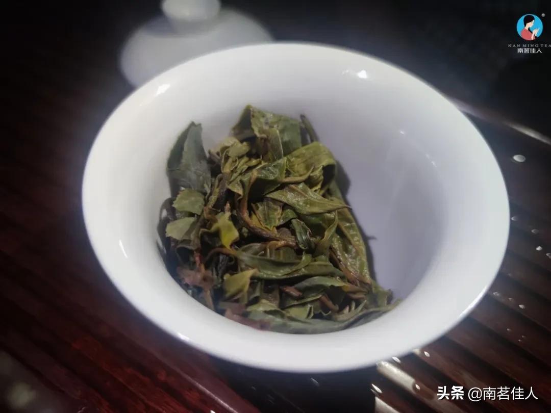 2022茶山行临沧云县,茶山行第一天