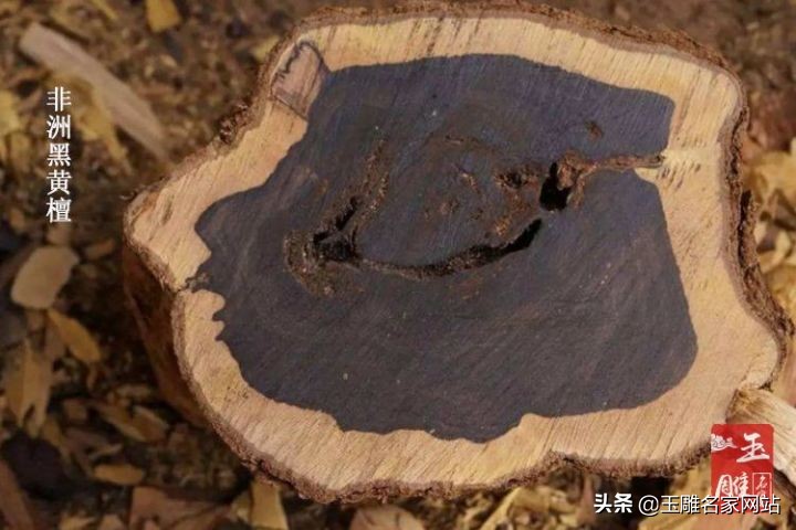 乌木最便宜的价格是多少钱一斤,一斤乌木价格多少钱