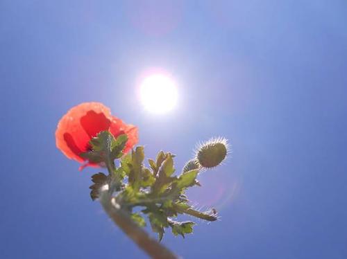 伤春悲秋的感悟,伤春悲秋的情感分析