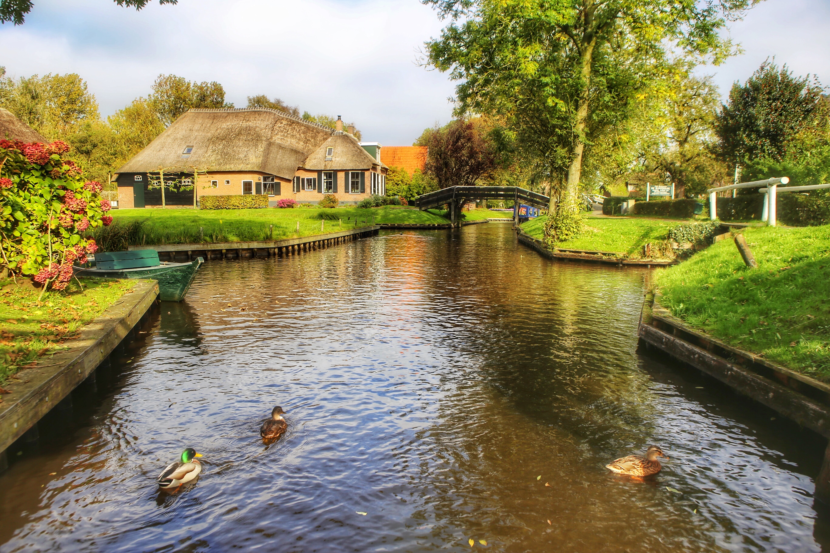 你真的了解荷兰吗,你真的了解郁金香吗