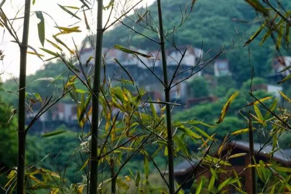 宁海安岚度假酒店,宁海安岚最美的酒店