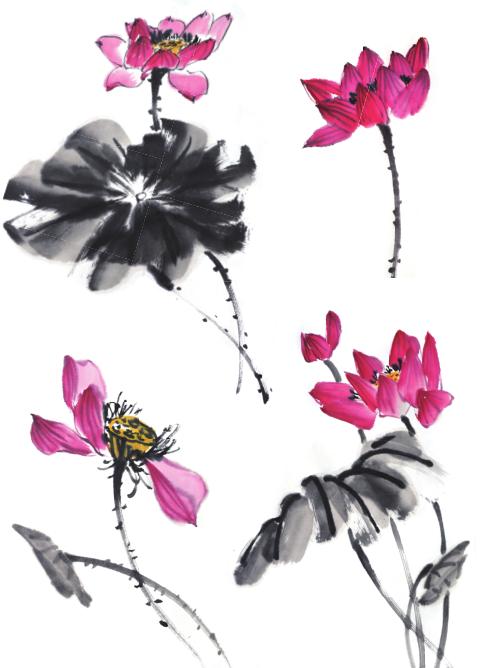 蜻蜓荷花图怎么画,夏天带有荷花蜻蜓的场景画法