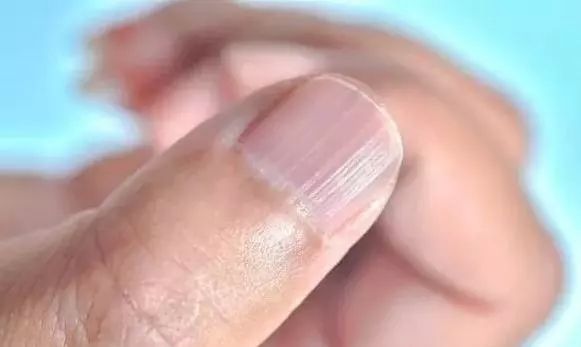 春天睡前吃什么汤养肝护肝,春天调理肝喝什么炖汤