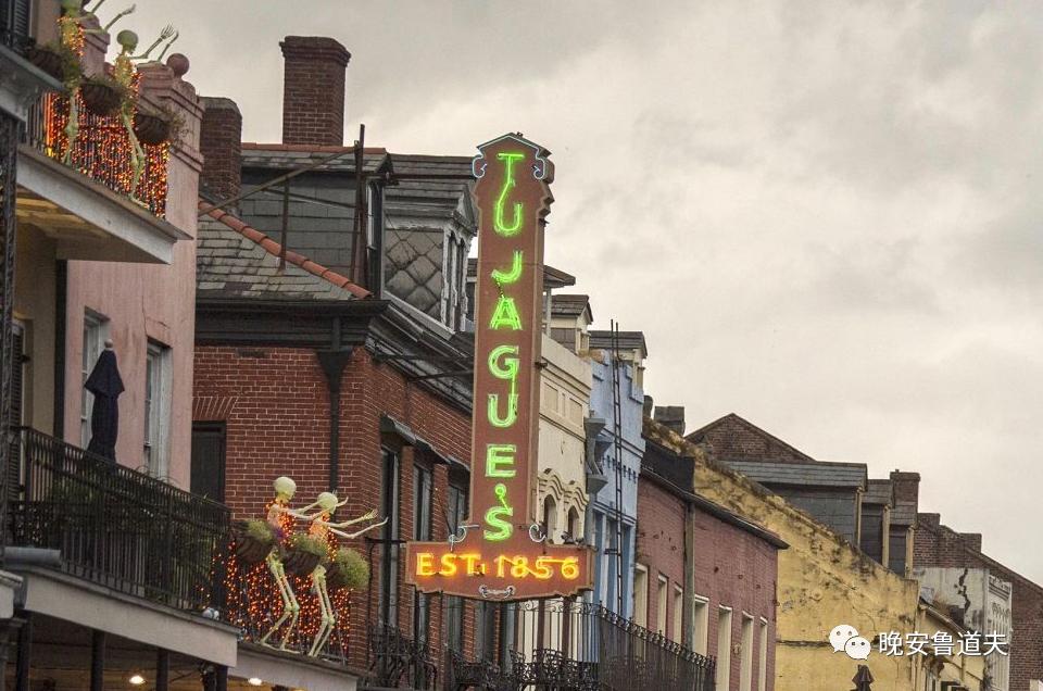 只属于你的清新——绿色蚱蜢,Grasshopper