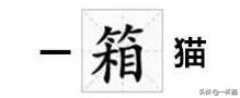 一根猫、一滩猫、一架猫，喵星人逆天姿势大全