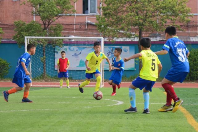 中国的足球青训vs校园足球,足球青训和校园足球