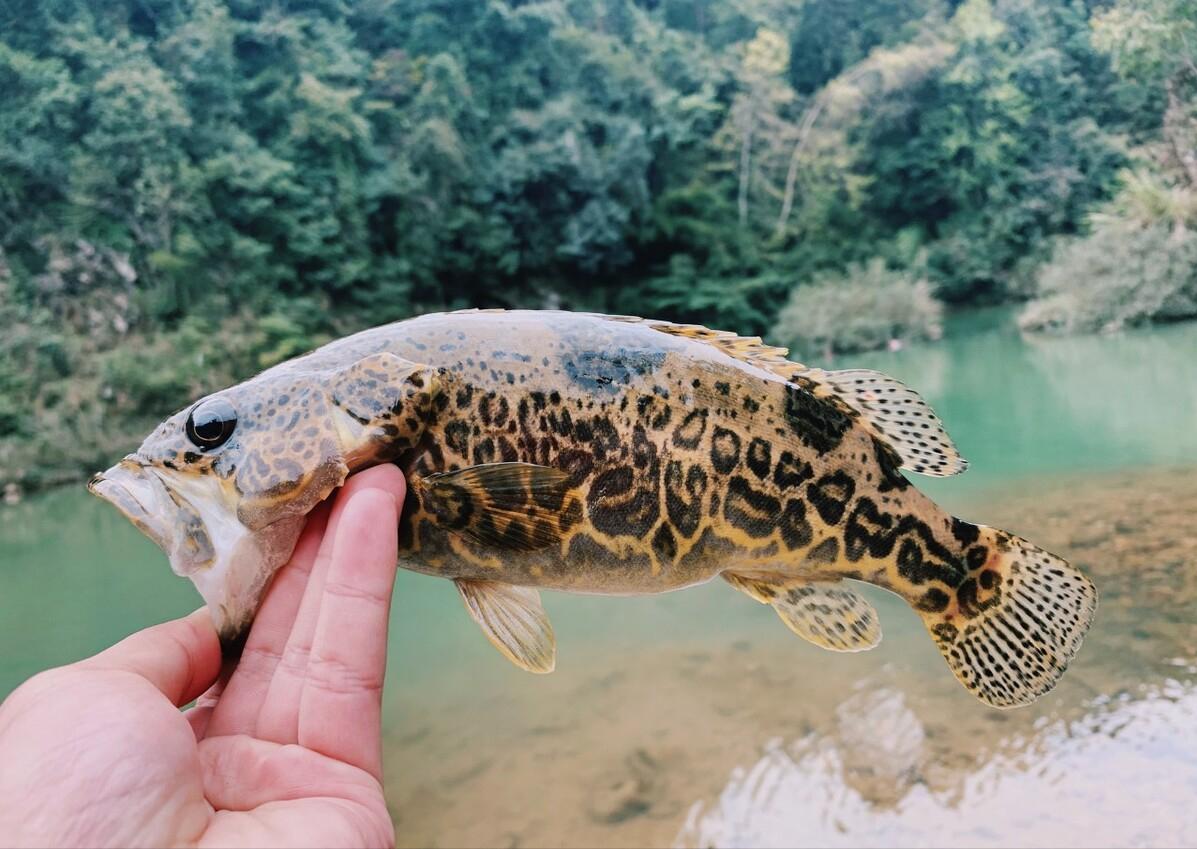 梅山水库被承包合法吗,水库偷鱼网