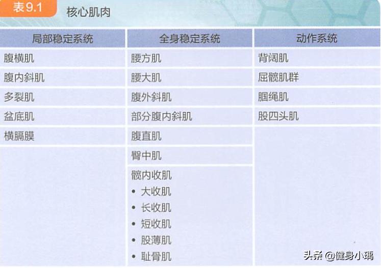 平板支撑对强化核心肌群非常有益,平板支撑可以训练哪些肌群