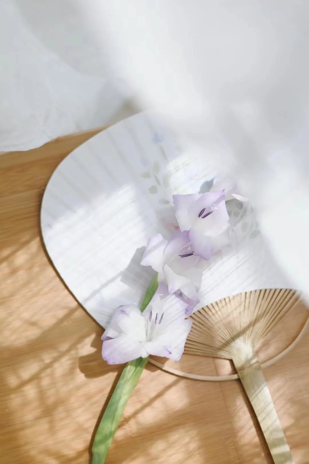 家里要有氛围感什么花比较好,家里高级的花