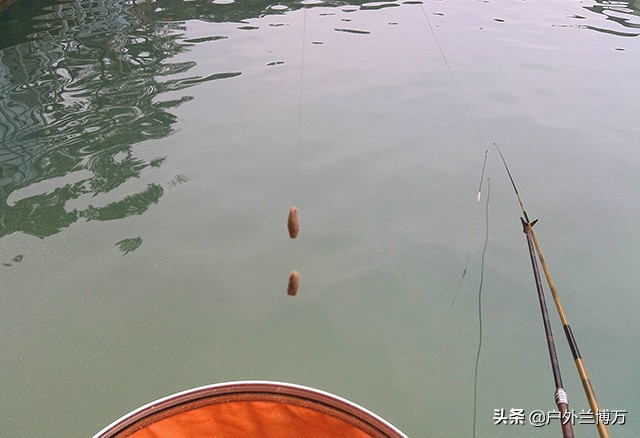 走水江河野钓草鱼饵料,走水河钓鲤鱼饵料配方