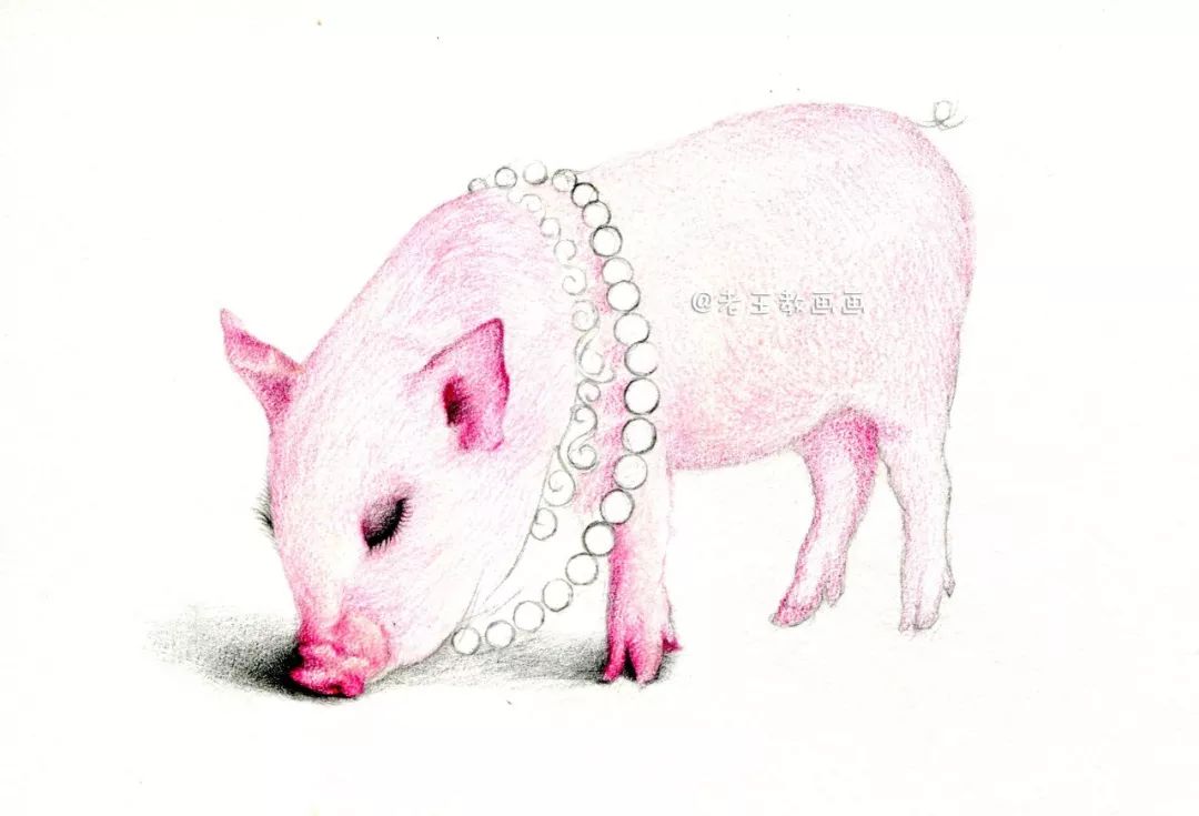 画一只简单又好看的猪,猪年的猪怎么画