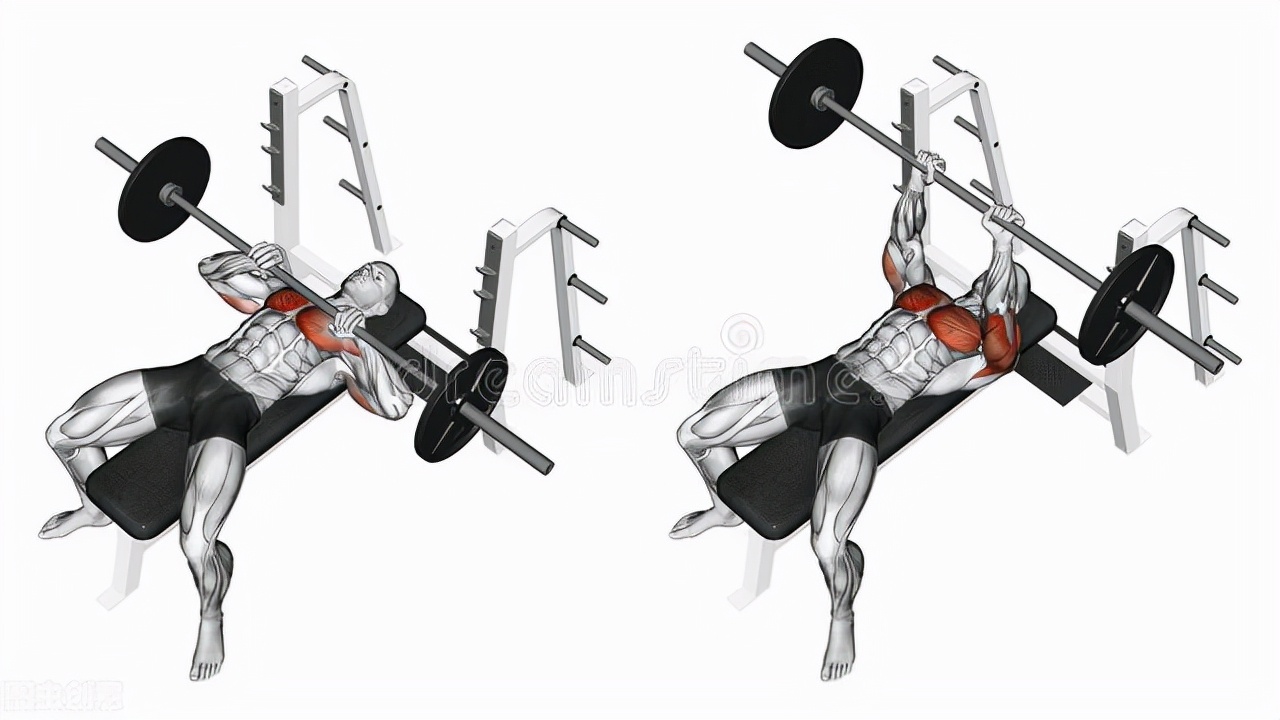 健身小白如何正确的开始健身,健身应该从哪里开始