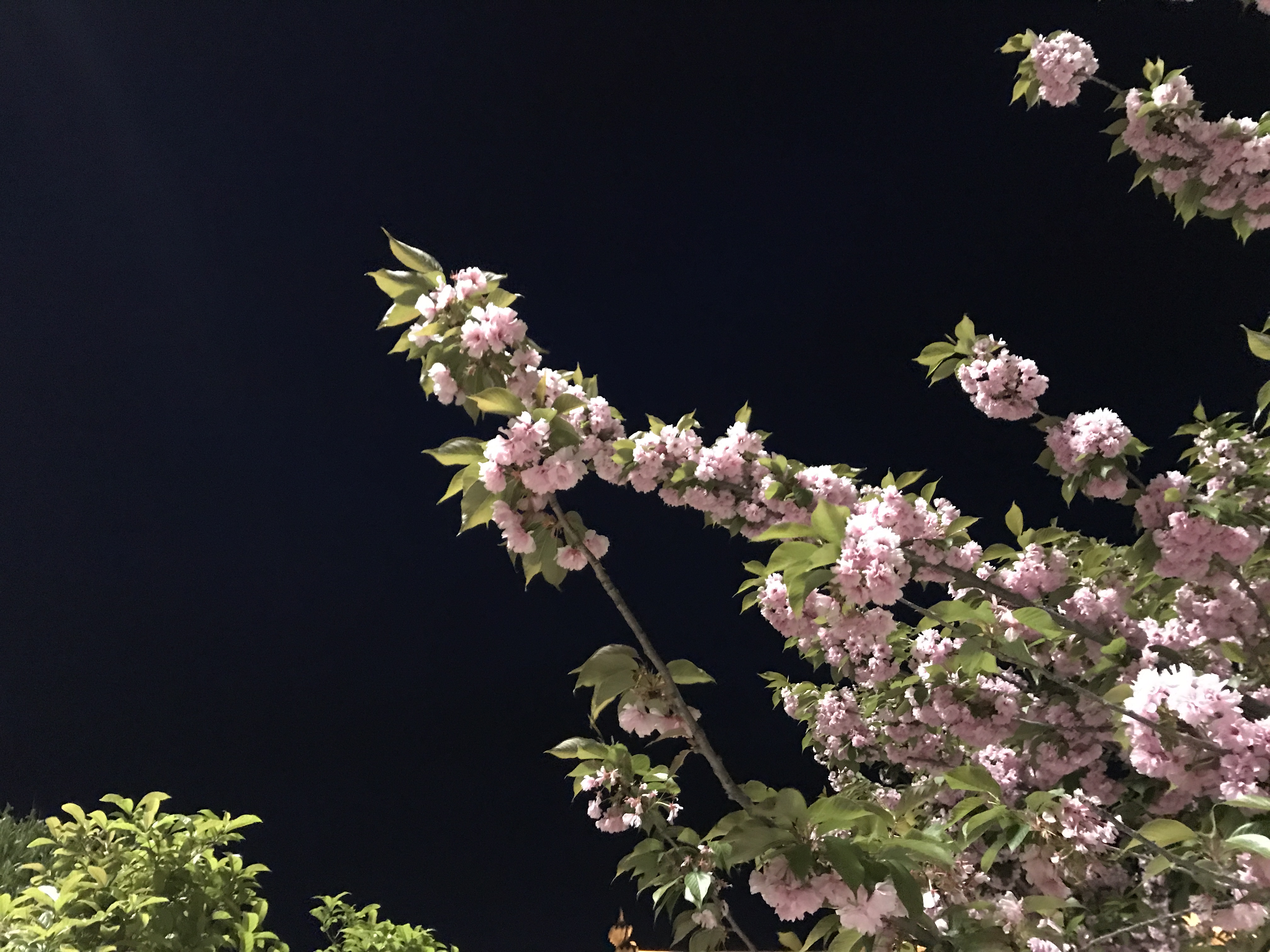 华山地图高清版攻略,最全华山攻略地图