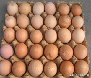 滑液囊支原体影响鸡产蛋吗,滑液囊支原体对产蛋性能的影响