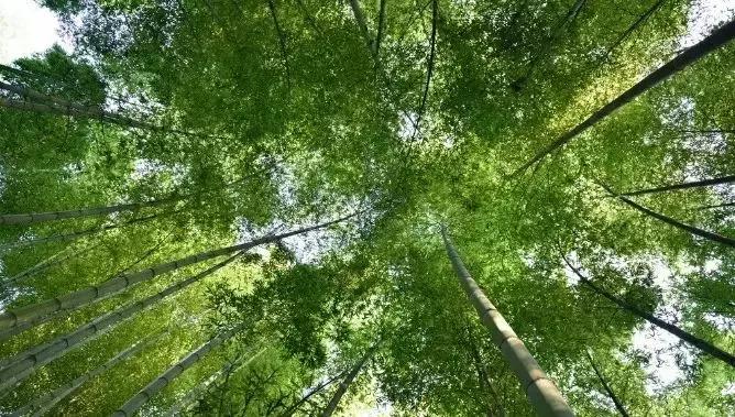 热炸！四川这些小众避暑佳境，光看图就能凉快10℃