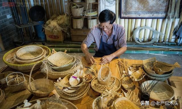 昆虫标本树脂竹节虫,昆虫标本制作竹节虫