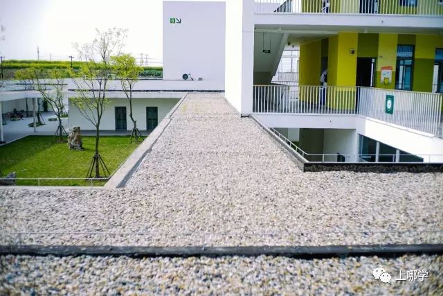 上海最好的十大民办初中,上海各区的顶级初中和一流初中