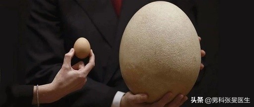 蛋蛋一大一小是咋回事?是病吗?会不会影响使用?