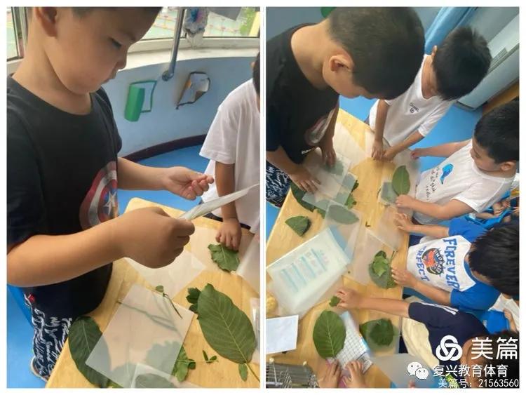 邯郸复兴区第一幼儿园环境,邯郸复兴区第一幼儿园是公立的吗