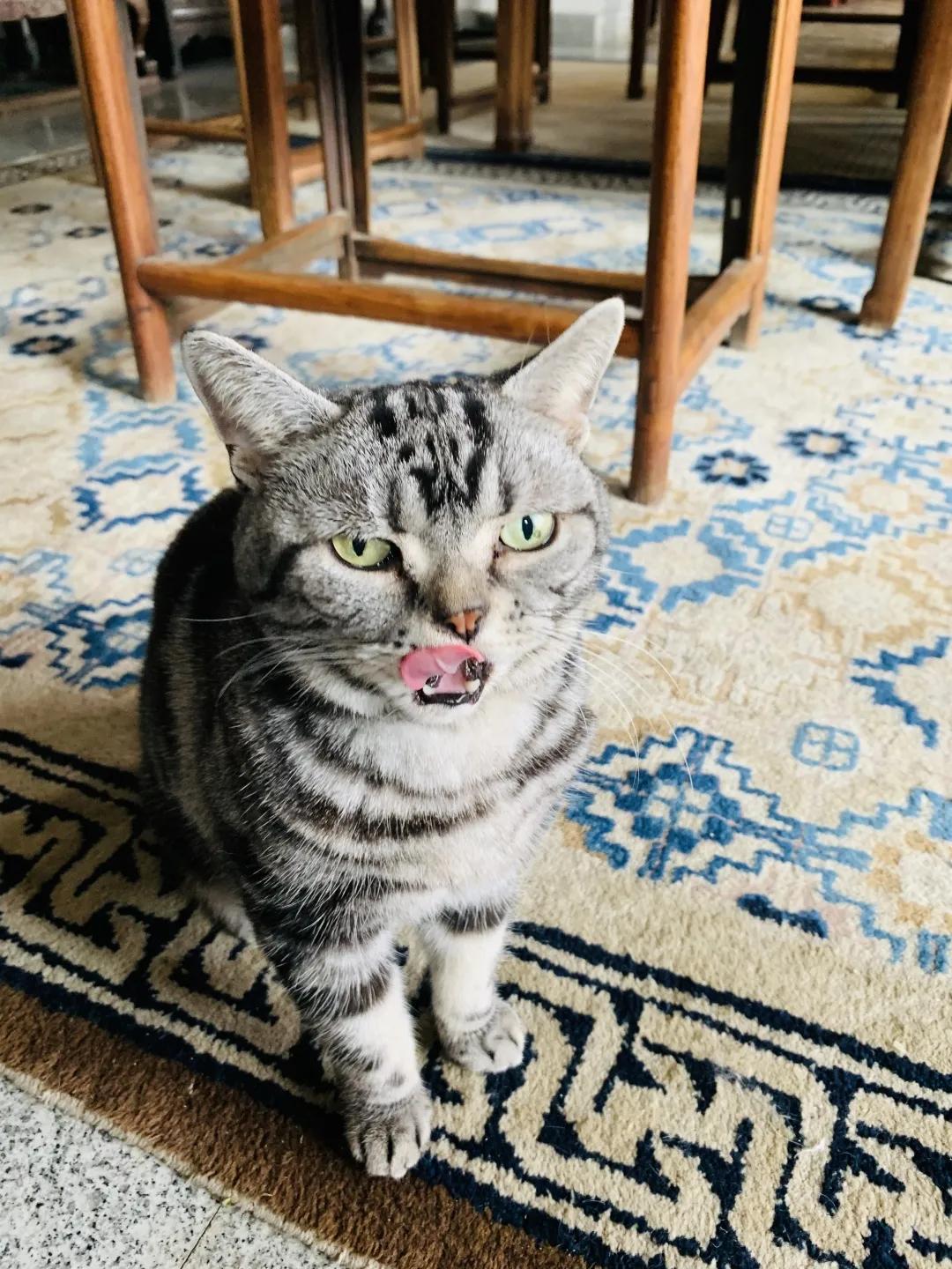 大家期盼的真实事件,掉缸事件怎么处理