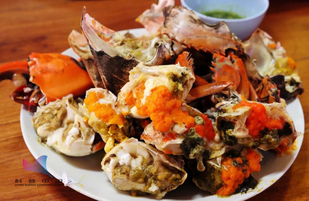 这个季节吃螃蟹吃哪种螃蟹好吃,这季节螃蟹怎么吃好吃