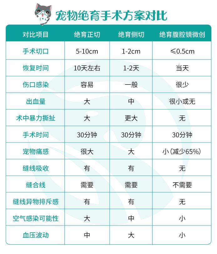 瑞派宠物医院猫咪绝育,瑞派宠物医院绝育套餐
