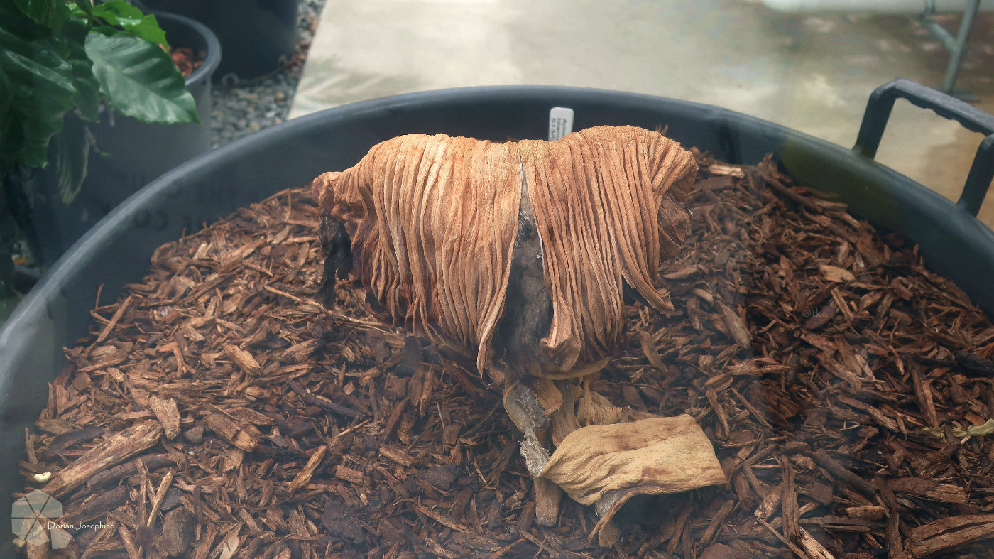 新西兰南岛一日游,新西兰南岛旅游地图