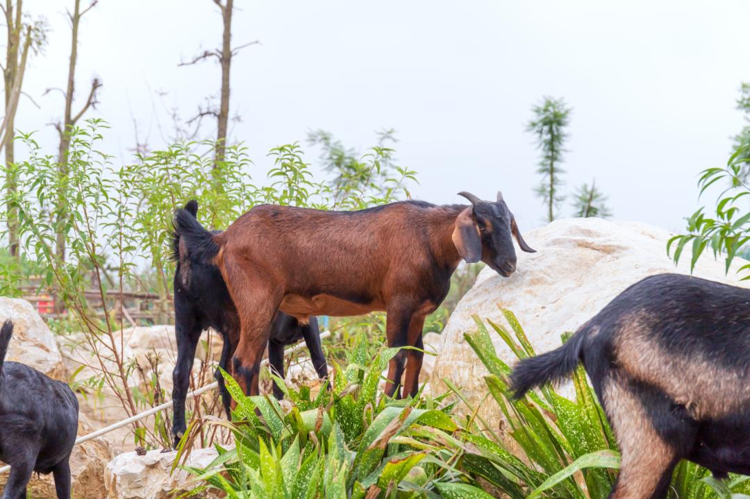 上海造火箭的地方,福建哪个地方造火箭