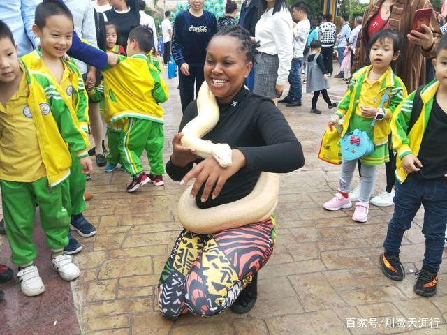 吉尼斯世界最大的马戏剧院,灵玲国际马戏城世界纪录