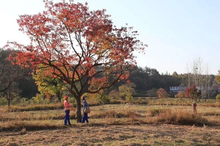 商城:我的四季情人