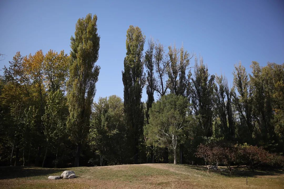 佳能apsc画幅eosr7已经开始测试了,eosm6markii教程