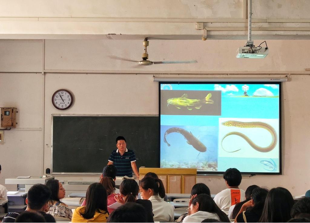 揭秘!海马竟是鱼类!上课磨锤子!直击湖北超火爆的开学第一课