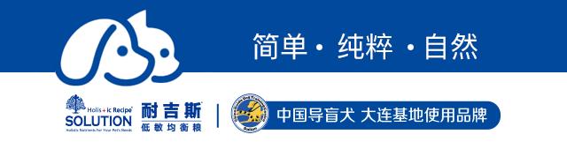 狗狗界最受欢迎的狗狗品种,最受欢迎的小型狗狗品种推荐