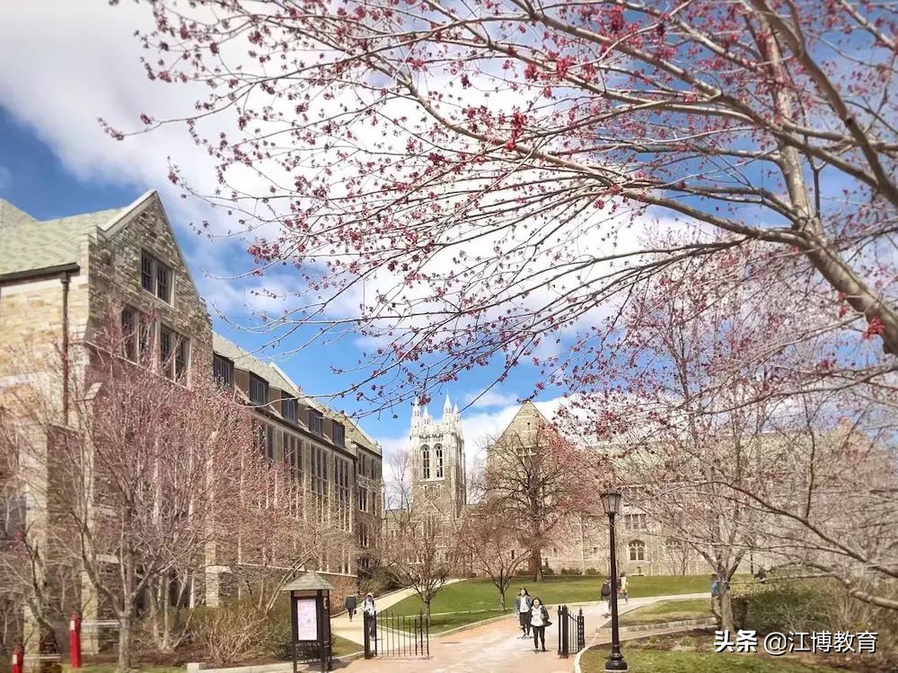 bostoncollege波士顿学院,波士顿学院和波士顿大学在哪里