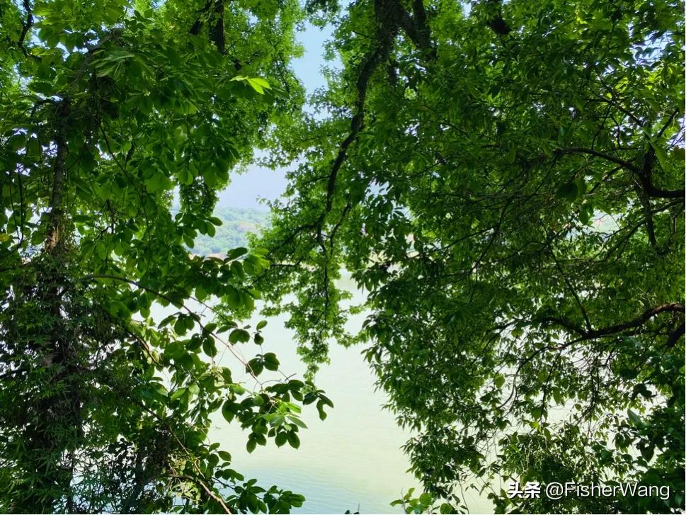 中毒or中暑，36度高温带两女生徒步，中道而退之登云-恩顶水库。