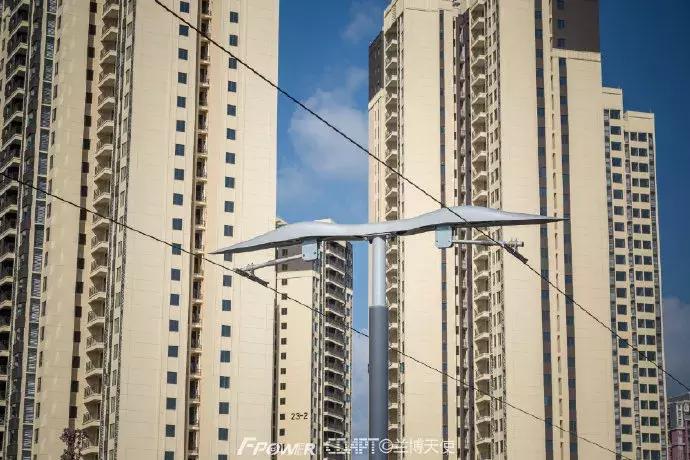 从蓉2来｜天天看见“叮叮猫”跑来跑去的，它到底在忙什么啊？