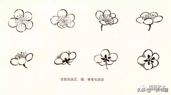 图文教程一学就会画梅花,一步一步教你画梅花