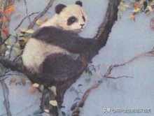 中国四大名绣哪种绣能够代表国家,中国的四大名绣和它们的代表作