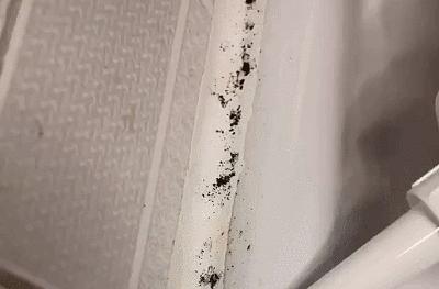 水槽玻璃胶条发霉了怎么处理,水槽缝玻璃胶发霉