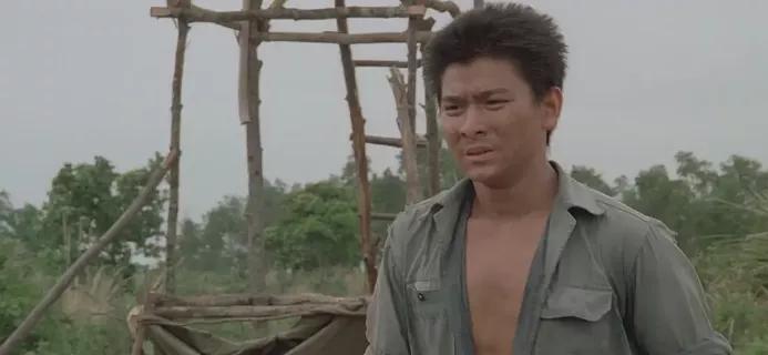 刘德华流量为什么这么高,刘德华为什么这么大流量