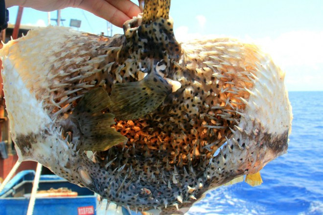 一半是海水一半是蓝天，这就是西沙群岛！我是登岛的第46066人